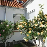 Old Roses Broager